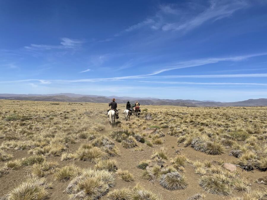 Three riders on horseback crossing a wide grassy plain