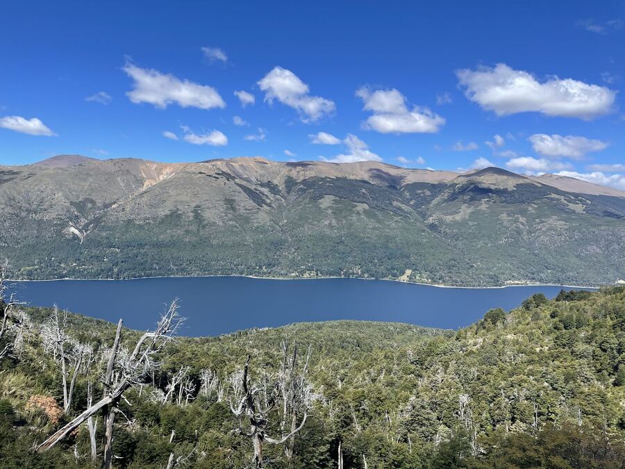 A long lake below a big mountain, bleached dead trees in the foreground