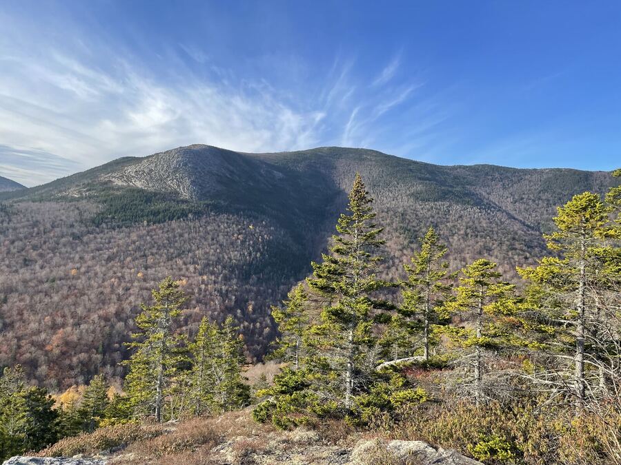 Autumn mountains in morning light, spruce in front