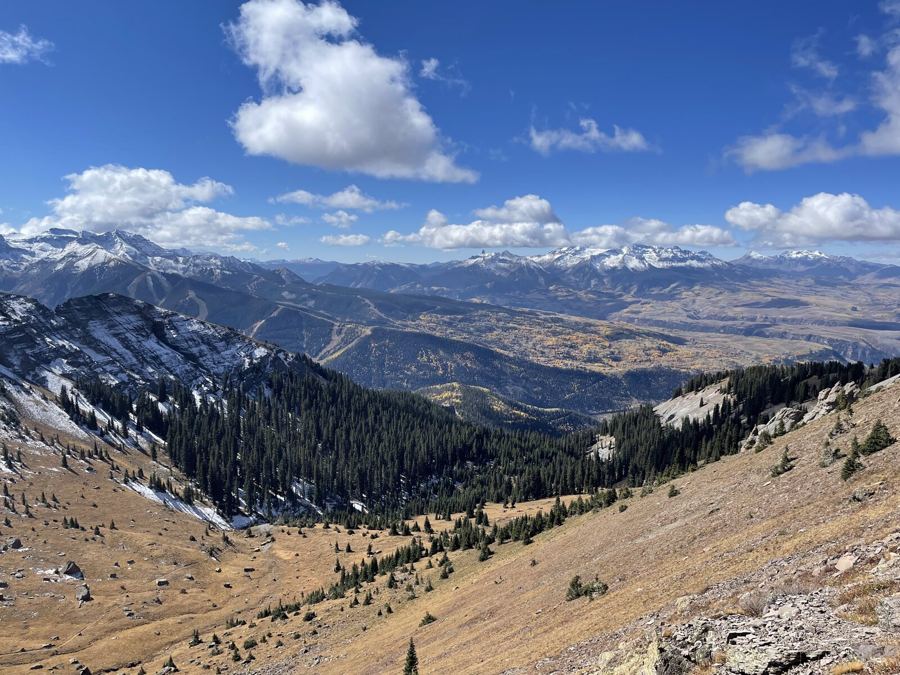 An autumn valley of dark conifers and gold slopes, snowy peaks on the horizon