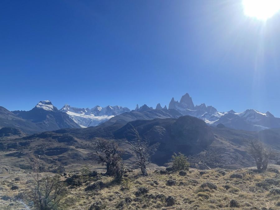 A skyline of granite spires and a glacier on the horizon, wind-bent trees in the foreground